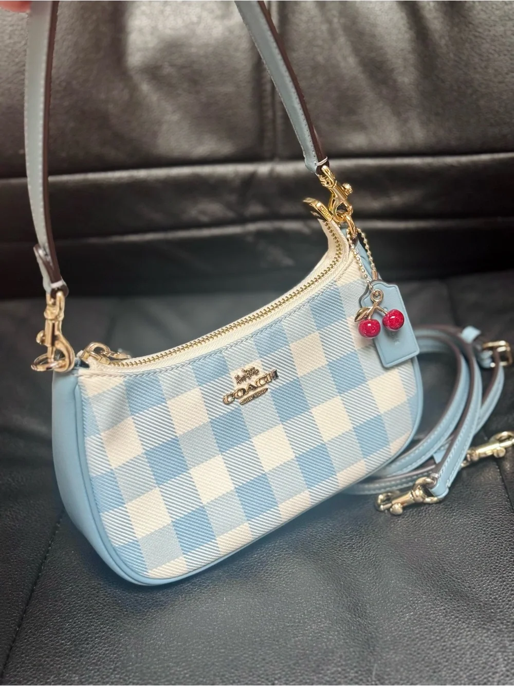 NWT Coach Teri Mini Crossbody Bag With Gingham Print And Charm CEN05 Blue Multi - Picture 4 of 15